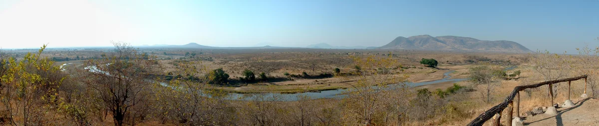 A panorama of the Great Ruaha River and surrounding bush